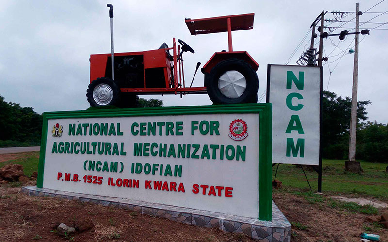 NCAM-1