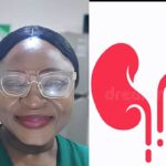 Agbo and your kidneys: How Herbal Mixtures are creating a Health crisis in Nigeria’ By Susan Ajimuda
