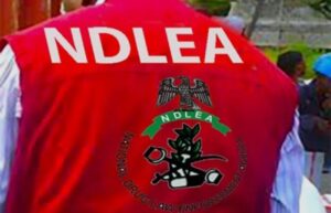 Screenshot_2026-08-31-06-42-55-974_com.android.chrome