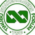 MAMBILLA RULING PROTECTS NIGERIA’S FINANCES, OPENS NEW ECONOMIC POSSIBILITIES – TSF