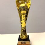 Julius Berger wins Reputation and Influence Award
